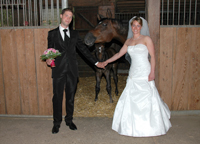 Brautpaar im Pferdestall