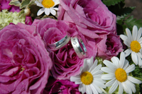 Hochzeitsringe im Brautstraß