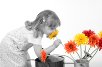 An den Blumen riechen